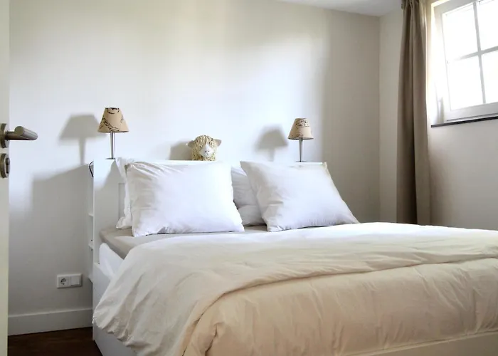 Panzió Hoogh Belgeren 3*